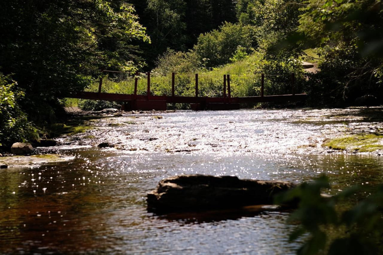 Rocky Brook Acres Hotel Cormack Bagian luar foto