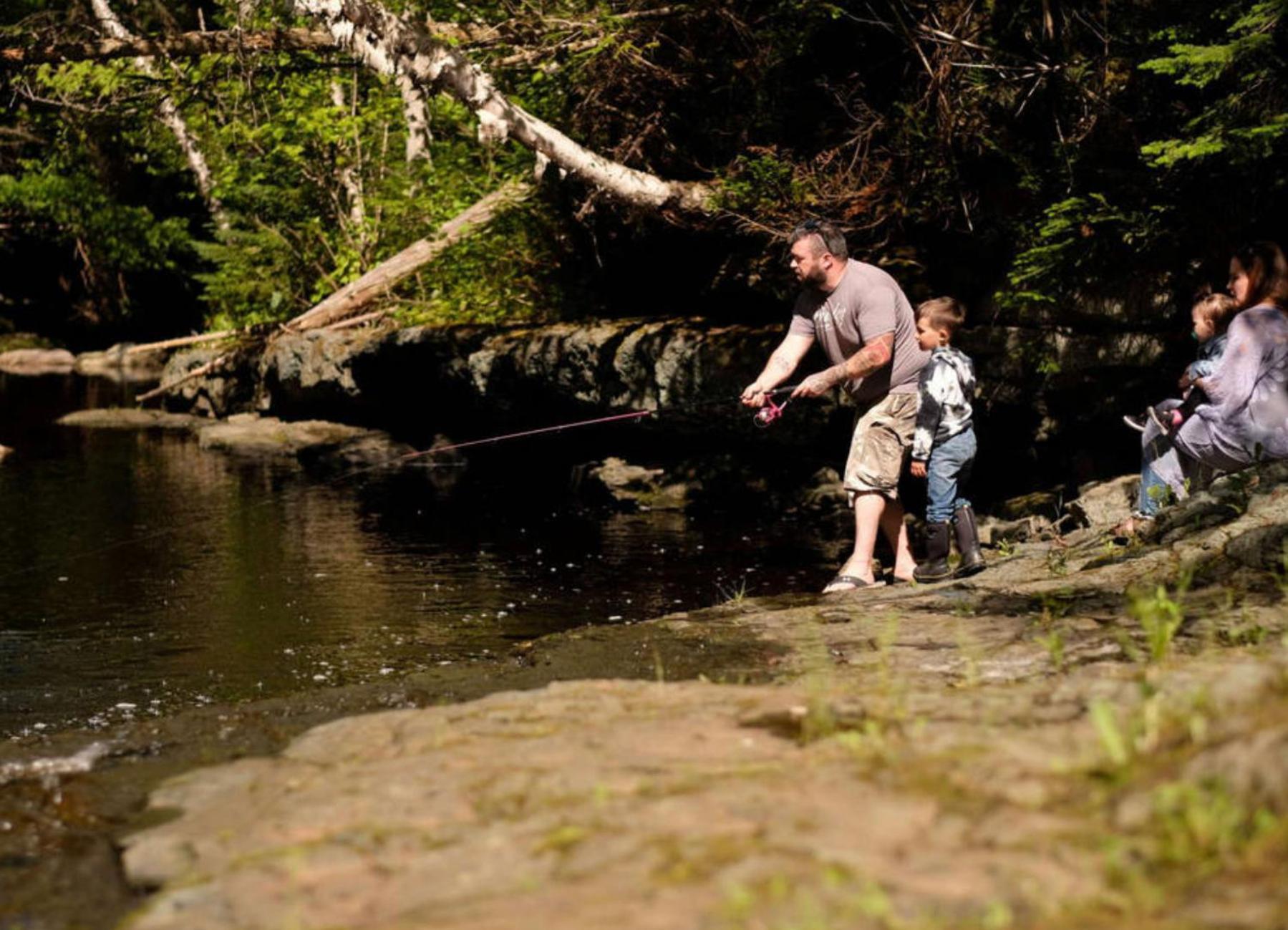 Rocky Brook Acres Hotel Cormack Bagian luar foto